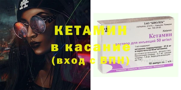 стаф Осинники