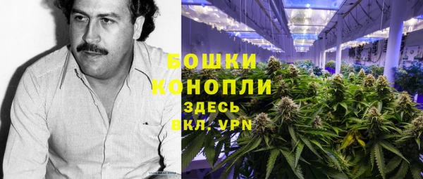 стаф Осинники