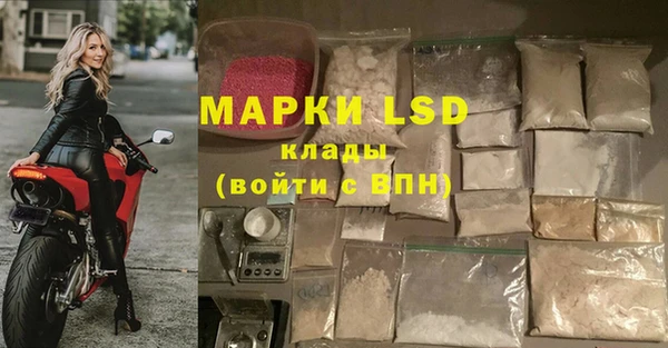 стаф Осинники