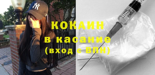стаф Осинники