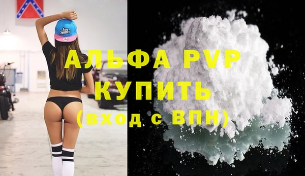 стаф Осинники