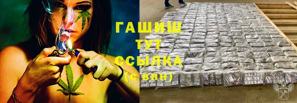 стаф Осинники