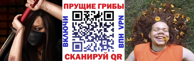 Галлюциногенные грибы Magic Shrooms  Кувандык 